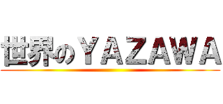 世界のＹＡＺＡＷＡ ()