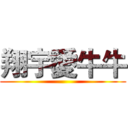 翔宇愛牛牛 ()