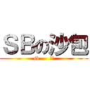 ＳＢの沙包 (sb      沙包)