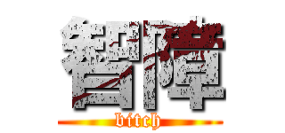 智障 (bitch)