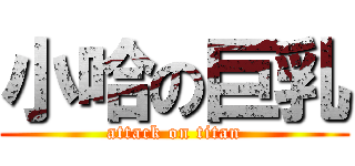 小哈の巨乳 (attack on titan)