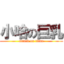 小哈の巨乳 (attack on titan)