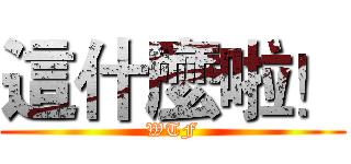 這什麼啦！ (WTF)