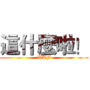 這什麼啦！ (WTF)