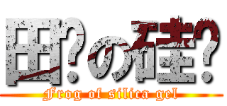 田鸡の硅胶 (Frog of silica gel)