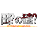 田鸡の硅胶 (Frog of silica gel)