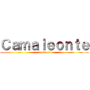 Ｃａｍａｌｅｏｎｔｅ (warriors)