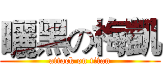 曬黑の梅凱 (attack on titan)