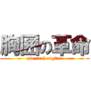 胸囲の革命 (pie real engine)