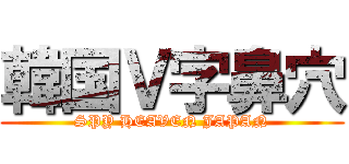 韓国Ｖ字鼻穴 (SPY HEAVEN JAPAN)