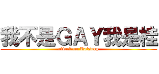 我不是ＧＡＹ我是桂 (attack on Katsura)
