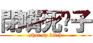 閉嘴死婊子 (shut up bitch)