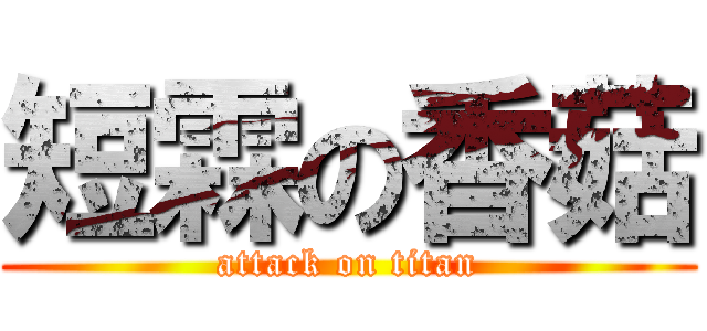 短霖の香菇 (attack on titan)