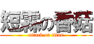 短霖の香菇 (attack on titan)