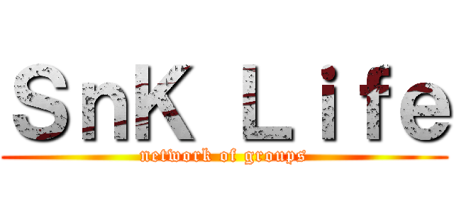 ＳｎＫ Ｌｉｆｅ (network of groups)