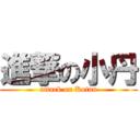 進撃の小丹 (attack on Kotan)