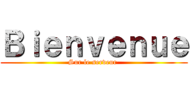 Ｂｉｅｎｖｅｎｕｅ (Sur le serveur )