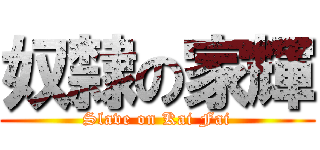 奴隸の家輝 (Slave on Kai Fai)