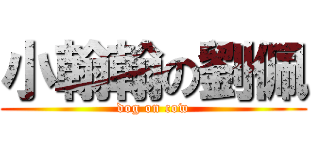 小翰翰の劉佩 (dog on cow)
