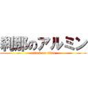 刹那のアルミン (attack on titan)