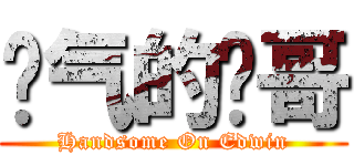 帅气的帅哥 (Handsome On Edwin)