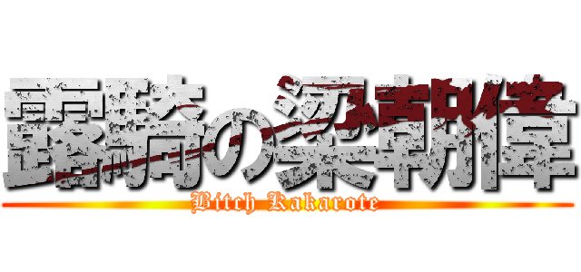 露騎の梁朝偉 (Bitch Kakarote)