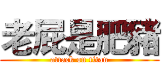 老屁是肥豬 (attack on titan)