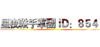 星夜殺手軍團ＩＤ：８５４３ ()