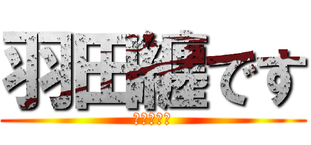 羽田纏です (まといです)