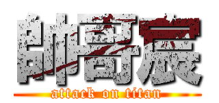 帥哥宸 (attack on titan)