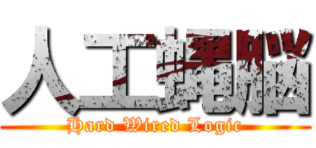 人工蝿脳 (Hard Wired Logic)