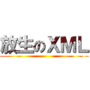 放生のＸＭＬ ()