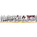 拍肩药怎么买到 (拍肩药怎么买到【电-151x68344x817-Q1065427042元吉药业】我们做的是长期生意,靠的是老客户长期支持http://sngk.net/hj0PwR

参考消息网我们做的是长期生意,靠的是老客户长期支持也许我们早该意识到，就连鲍勃·霍斯金斯（金球奖戏剧类电影男主角 
)