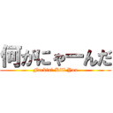 何がにゃーんだ (Fuckin' Kill You)