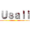 Ｕｓａｌｉ ()