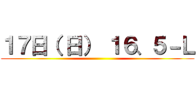 １７日（ 日） １６、５－Ｌ ()