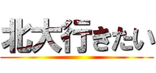 北大行きたい ()