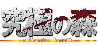 究極の森 (altimeter forest)