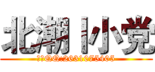 北潮丨小党 (唯一QQ:2631075405)