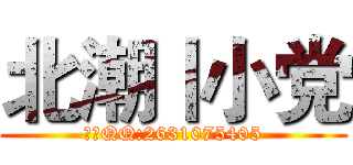 北潮丨小党 (唯一QQ:2631075405)