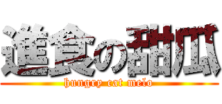 進食の甜瓜 (hungry cat melo)