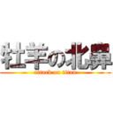 牡羊の北鼻 (attack on titan)