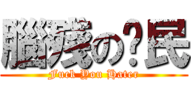 腦殘の鄉民 (Fuck You Hater)