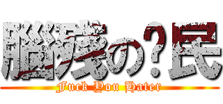 腦殘の鄉民 (Fuck You Hater)