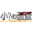 小张の蛋蛋 (attack on titan)