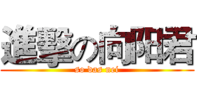進擊の向阳君 (so das nei)
