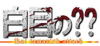 白目の芷瑄 (Kai tamarisk attack)