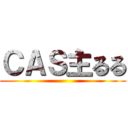 ＣＡＳ主るる ()