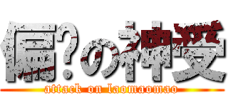 偏爱の神受 (attack on laomaomao)