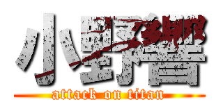 小野響 (attack on titan)